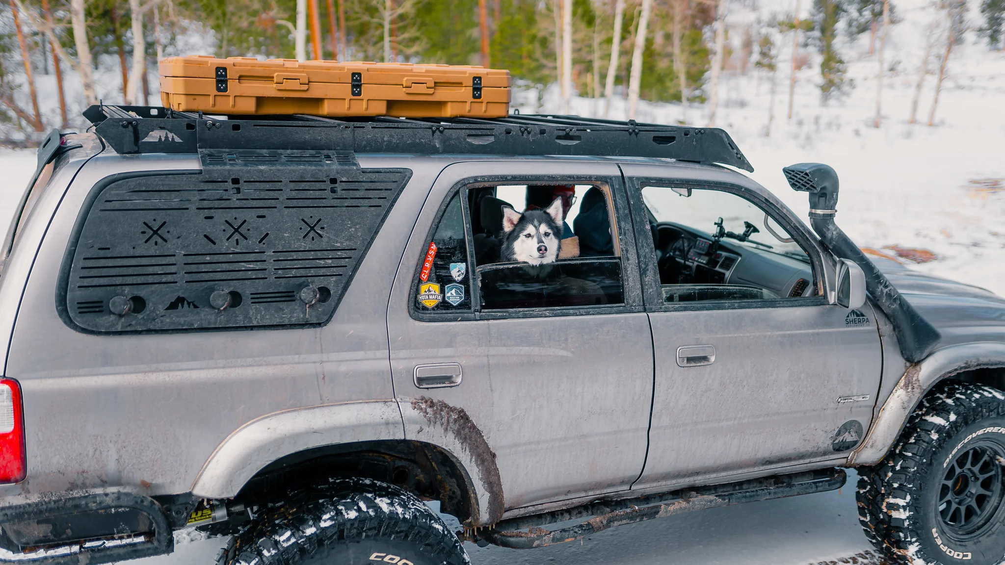 CRUZ Dachträger günstig bei Rackmag kaufen – Perfekt für Ihr Auto und Reisen