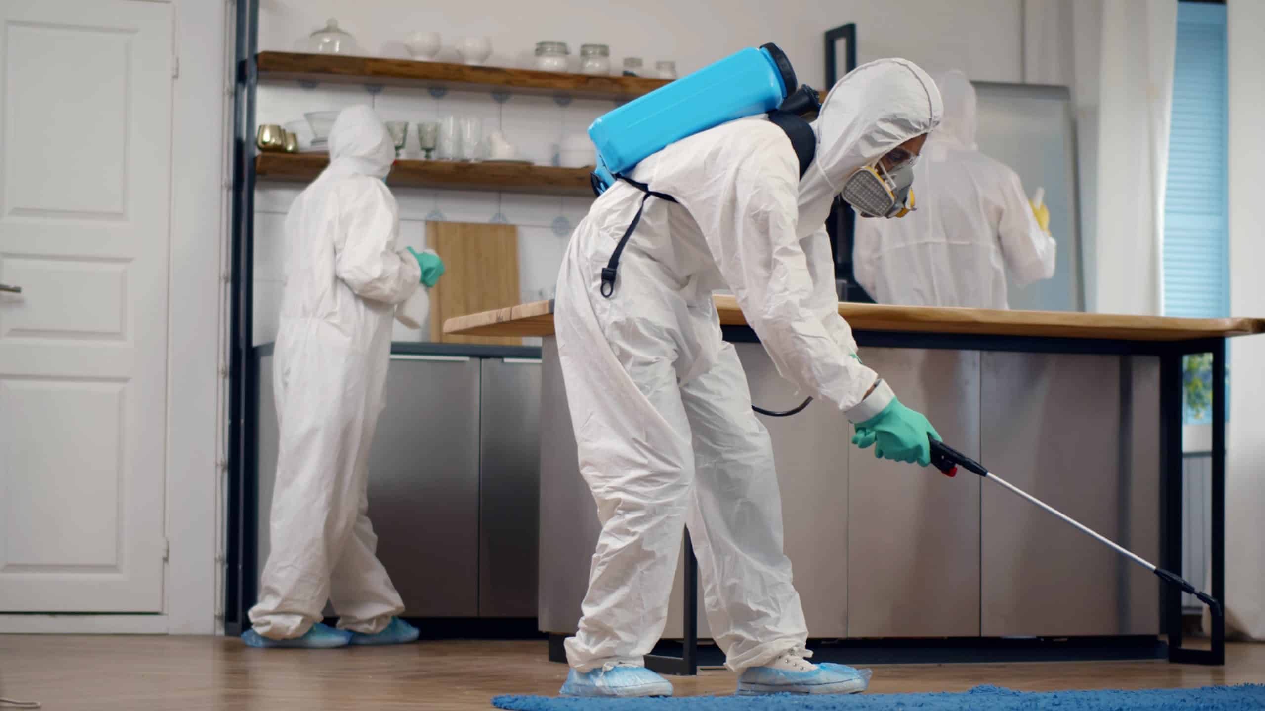 Kammerjäger Notdienst: Ihre Lösung für problematische Schädlinge