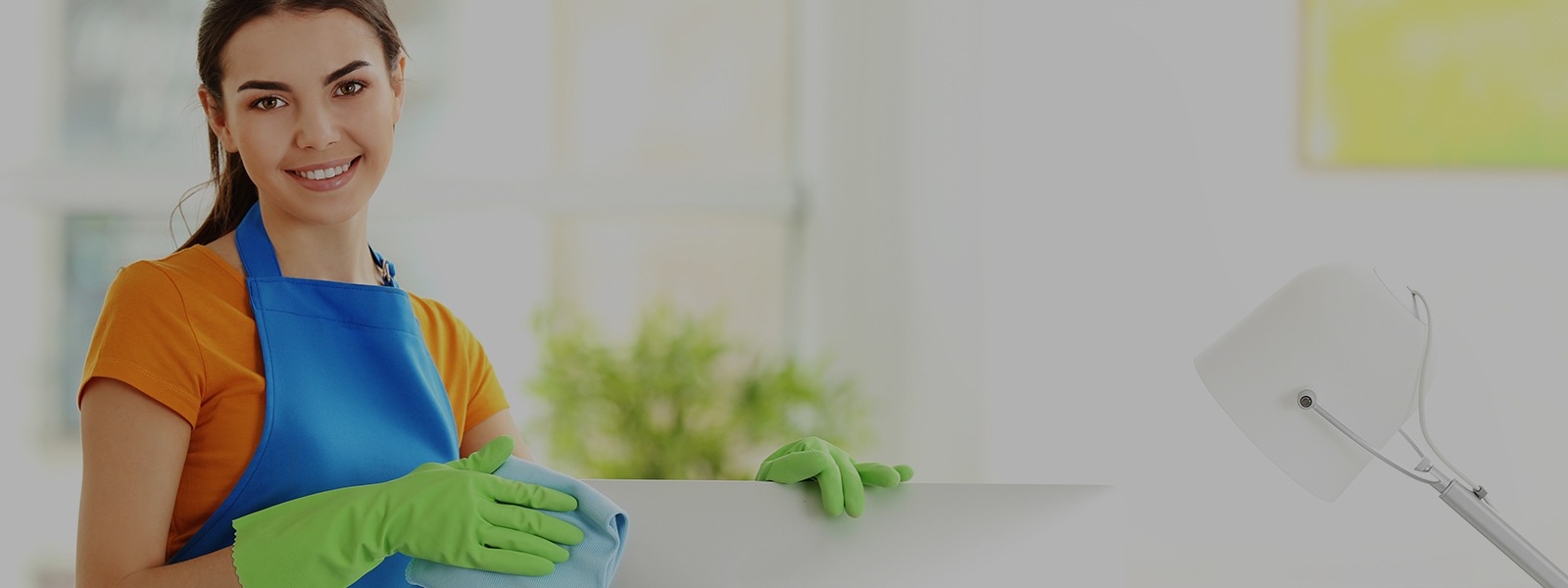 Ihre Experten für Fensterreinigung Berlin – Sauberkeit mit Ausblick
