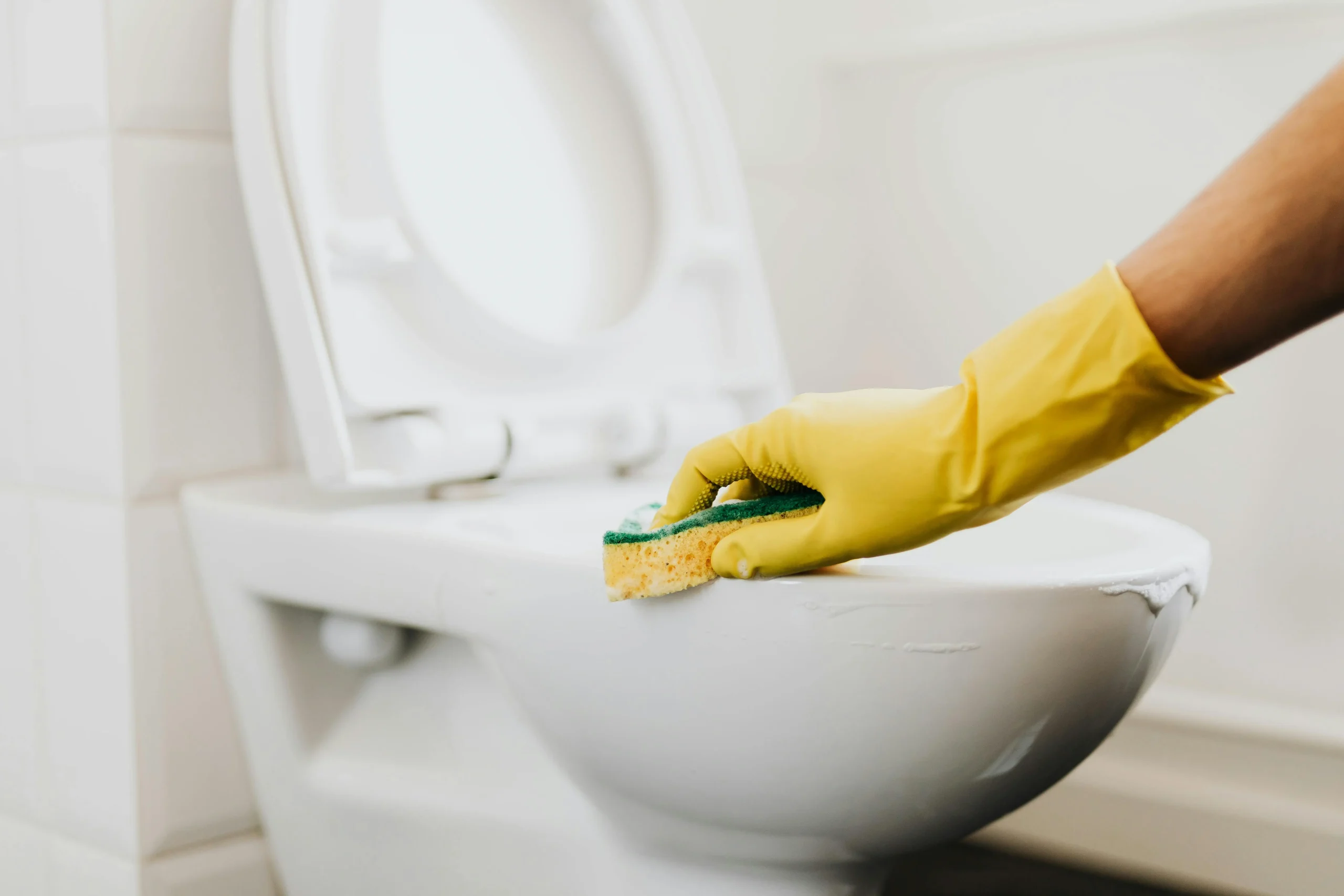 DISE Cleaning – Ihr Partner für professionelle Reinigungsleistungen und zuverlässige Unterhaltsreinigung in Bochum