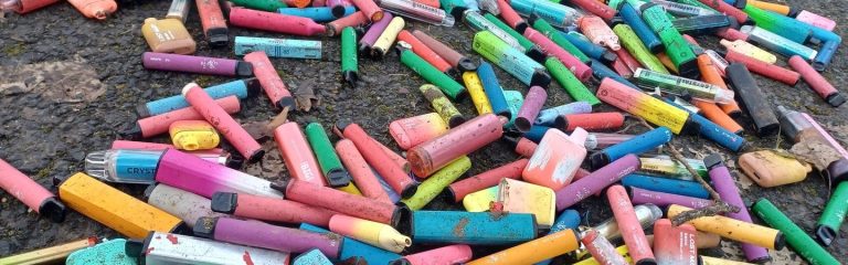 Aylesbury-Wombles-_1_.2e16d0ba.fill-1440x450